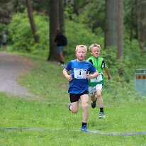 IMG_3767